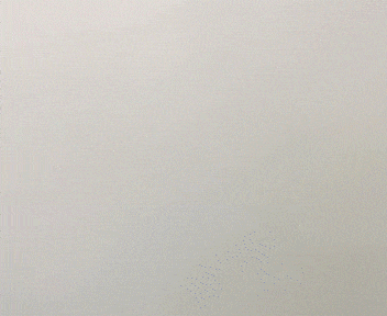 動画:フリーカットタイの使い方
