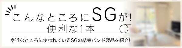 こんなところにSGが